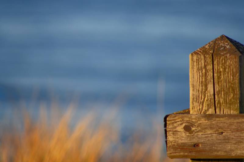 Last Minute Naar Zee